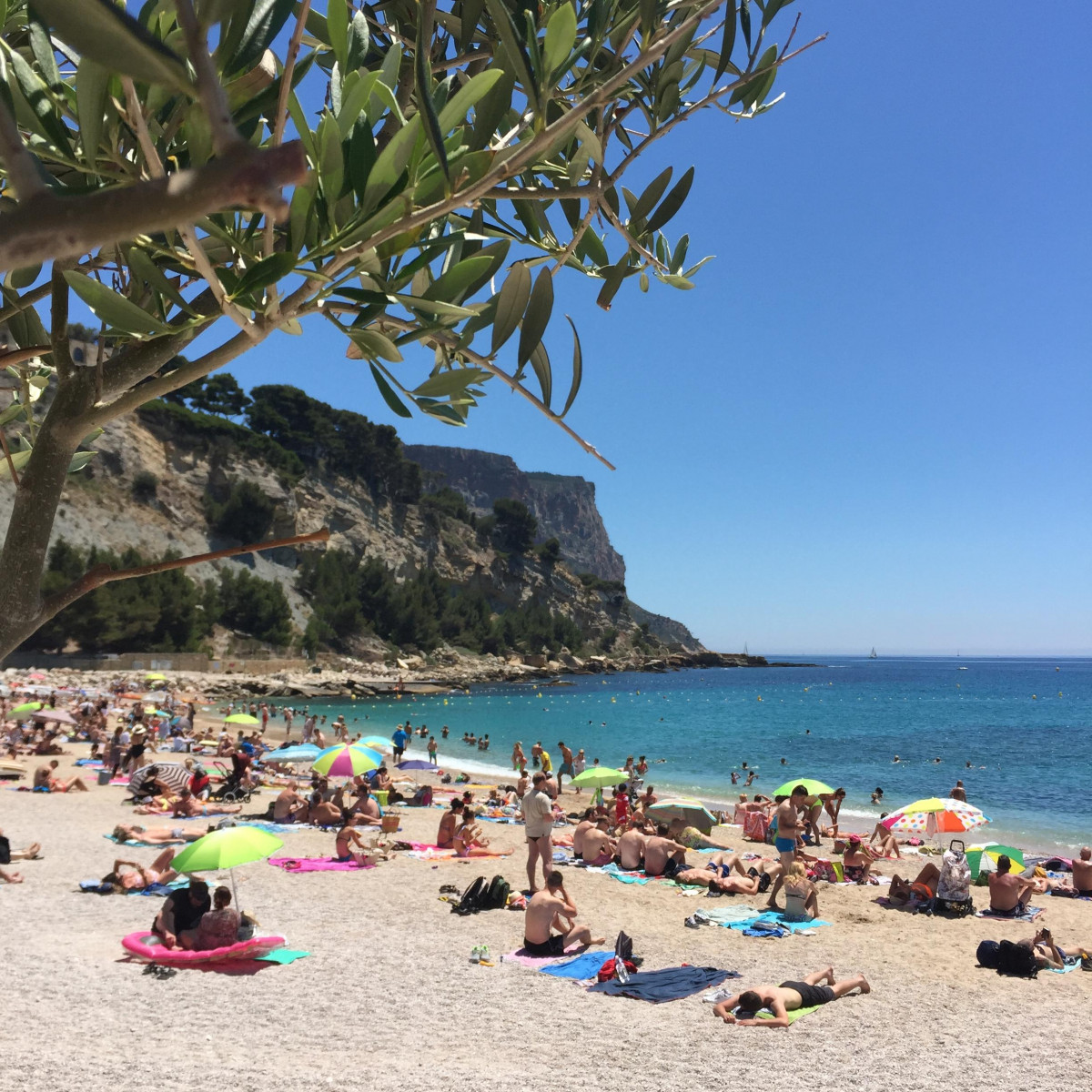 Playa de la Grande Mer_Cassis