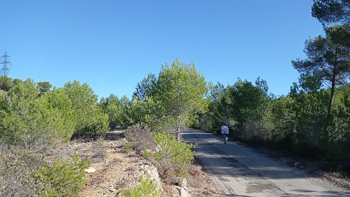 Sendero de los viticultores - Bucle de la Venecia de Provenza_Martigues