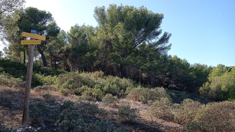 Vineyards along the Sentier des Vignerons (Winemakers' Trail) in Saint-Julien-les-Martigues. A hike offering panoramic sea views, starting from the Saint-Julien-les-Martigues win