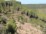 13SN000024_3_WEB.jpg