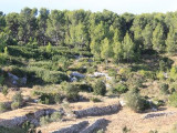 13SN000024_5_WEB.jpg