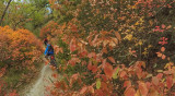 Parcours VTT Manosque