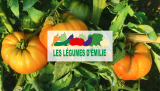 Les légumes d'Emilie