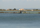 L'étang de Bolmon