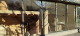 Musée Vitrine Archéologique_Martigues