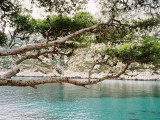 13SN000056_1_HD.jpg
