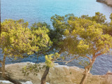 13SN000056_2_HD.jpg