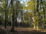 13SNA000054_2_HD.jpg
