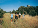 13SNA000021_2_WEB.jpg