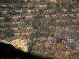 13SNA000021_3_WEB.jpg