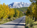 13SN000339_4_HD.jpg