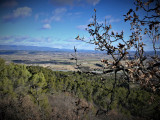 13VIS003553_2_HD.jpg