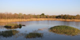 Marais sud de la Capelière