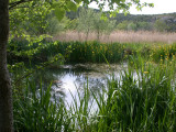 dscn8162.jpg