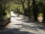 13VIS003588_2_HD.jpg