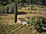 13VIS003588_3_HD.jpg