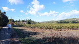 Ruta del viñedo - Bucle de variedades de vides_Martigues