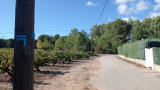 Ruta del viñedo - Bucle de variedades de vides_Martigues