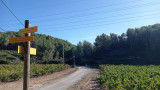 Sentier des vignerons - Boucle de la Venise Provençale_Martigues