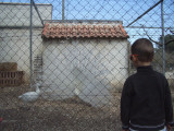 Ferme pédagogique du Parc de Figuerolles_Martigues