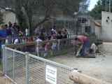 Ferme pédagogique du Parc de Figuerolles_Martigues