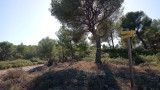 Ruta de los viticultores - Bucle panorámico_Martigues