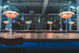 Bibliothèque Alcazar BMVR_Marseille