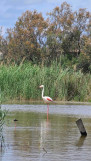 img_3341.jpeg