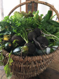 AMAP - A Tout Bio_Martigues