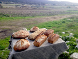 Thierry Seren, Paysan Boulanger et vigneron_Martigues
