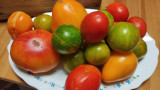 Farm l'intemporel - Jardin des Cheylans_Martigues