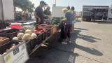 Fruits et légumes Zavattoni_Martigues