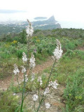 13VIS000433_5_WEB.jpg
