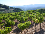 13VIS003587_3_HD.jpg