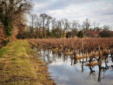 13VIS003561_1_HD.jpg