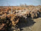 13VIS003561_2_HD.jpg
