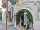 Souvenirs des Martigues d'hier et d'aujourd'hui_Martigues