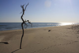 Plage Napoléon