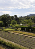 saint_paul_de_mausole_002.jpg
