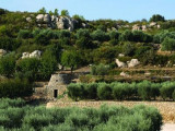 13VIS000331_3_WEB.jpg
