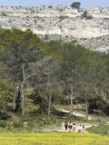 13VI002262_2_WEB.jpg