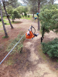 Indian Forest Figuerolles_Martigues