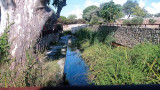 Site archéologique de Tholon_Martigues