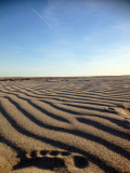 Pas Plage Napoléon