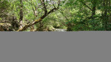 Source de l'Huveaune