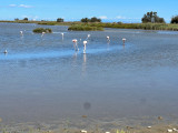 img_5893.jpeg