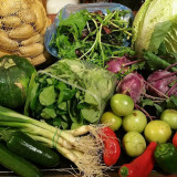 AMAP - A Tout Bio_Martigues