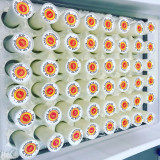 Thoron Bernard, Fermette de la Croix d'Estrine_Martigues