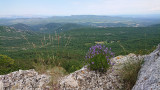 dsc_9053.jpg