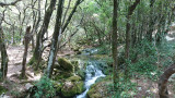 Source de l'Huveaune